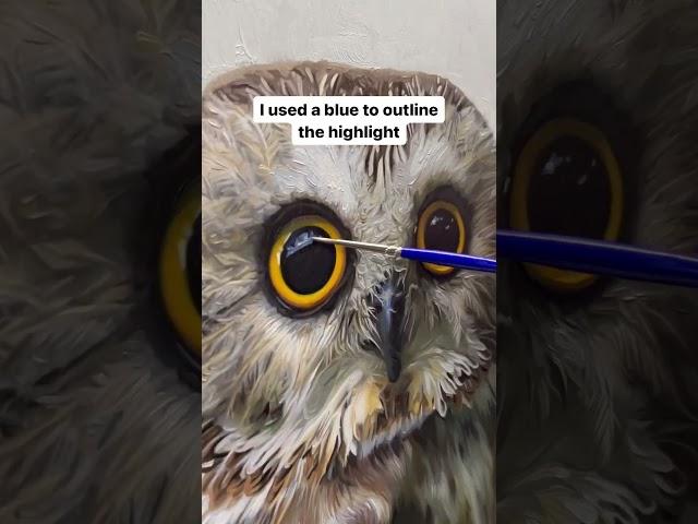 Was this helpful?#owlpainting #owlart #arttutorial #eyeart #howtopaint #animallovers