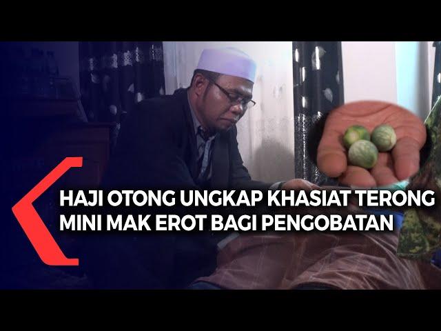 Haji Otong Ungkap Khasiat Terong Mini Mak Erot