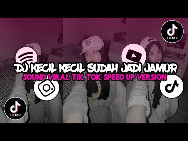 Dj Kecil Kecil Sudah Jadi Jamur Viral Di Tiktok (speed up)