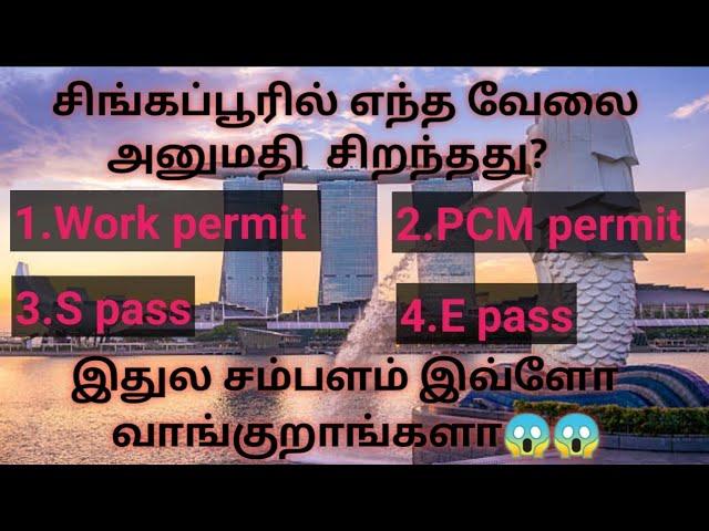 Which permit is best in singapore? ||சிங்கப்பூரில் எந்த permit சிறந்தது? ||Tamil||Migrated Tamizhan