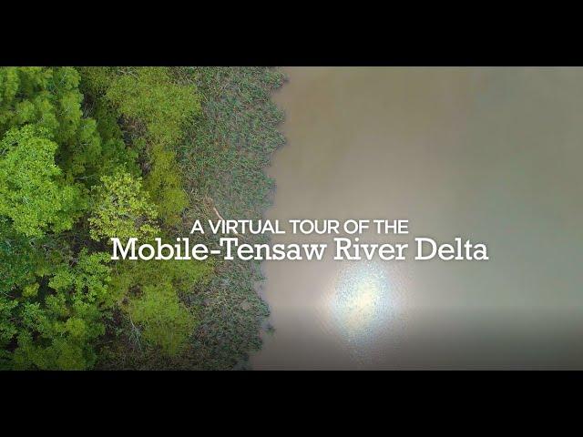A Virtual Tour of the Mobile-Tensaw River Delta