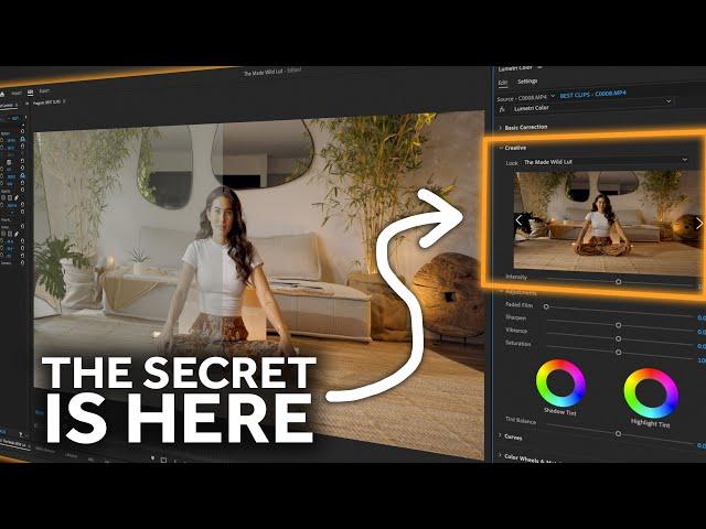 The Unconventional Color Grading Hack in Adobe Premiere Pro