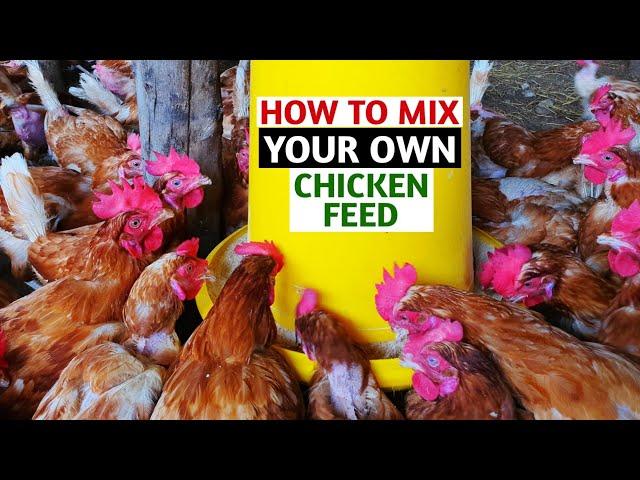 How to Mix Your Own Chicken Feed | Part 2 - Feed Formulation!