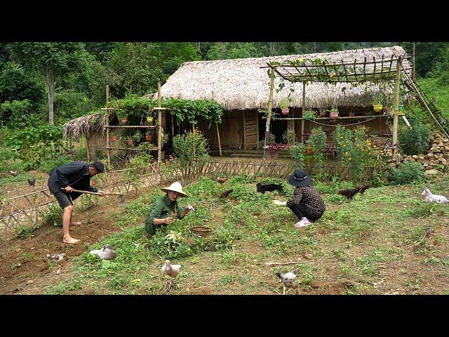 FULL VIDEO/100 days: Gardening, Animal care, Harvesting, Cooking | Daily farm life, Off-Grid Cabin