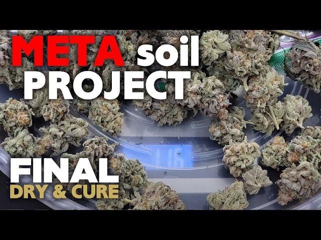 One Year Later - Oops - META SOIL PROJECT FINALE - Episode 15 - Drying, Curing & Final Weights