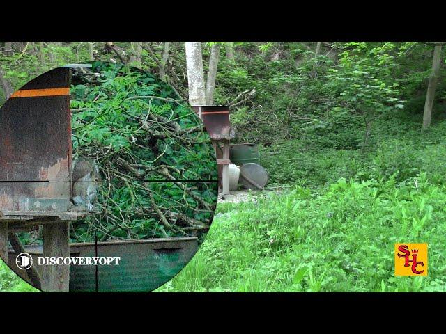 Pest Control with Air Rifles - Squirrel Shooting - Discovery Scope Testing