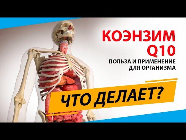 Эликсир молодости коэнзим Q10. Для чего нужен?