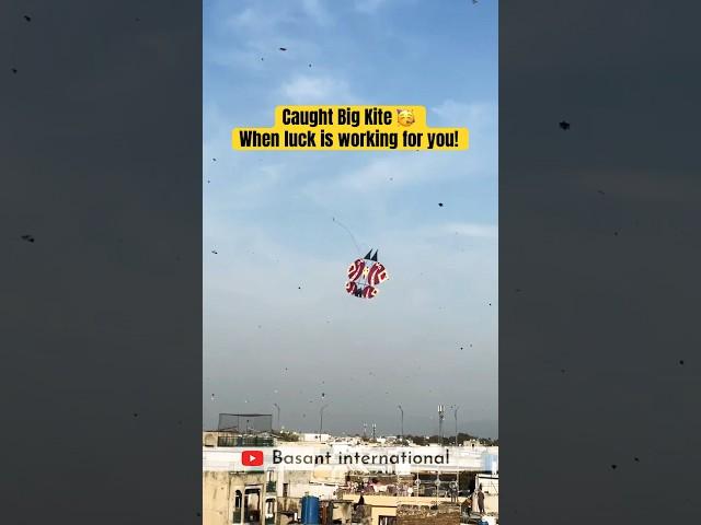 Big kite Basant Rawalpindi Pakistan 2024 | #basant2024 #basantfestival