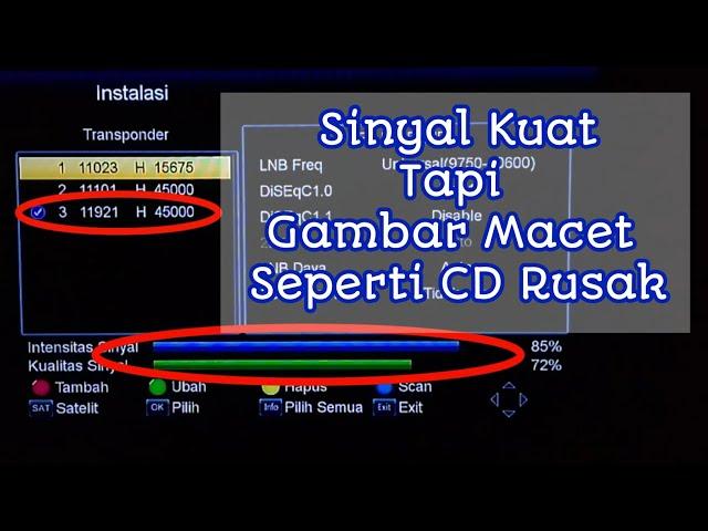 Penyebab Sinyal Nex Parabola Kuat Tapi Gambar Seperti CD Rusak