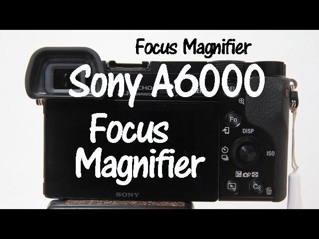Sony A6000 and A6300 Focus Magnifier