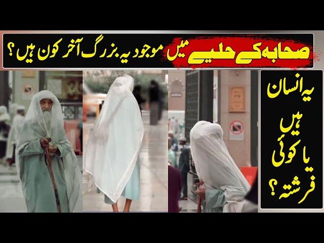 This Old man's Video in Madina Going Viral On Arab Social Media| Urdu / Hindi