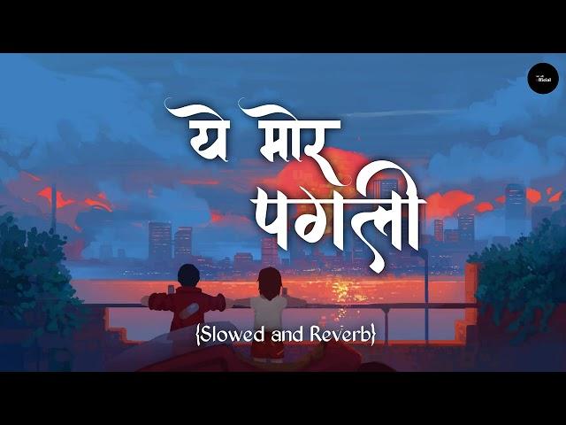 A Mor pagli || Shashank Soni shuhanil || cg song || slowed and reverb ||