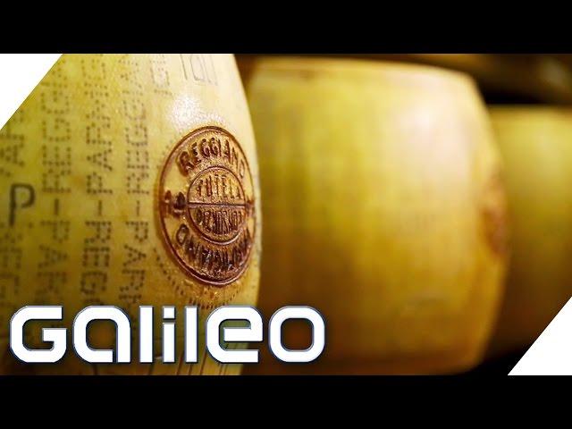 Weg des Parmesan | Galileo | Galileo | ProSieben