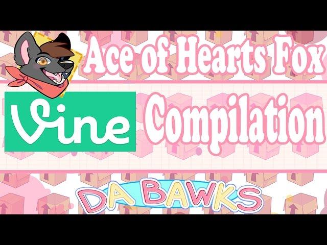 Ace of Hearts Fox Vine Compilation