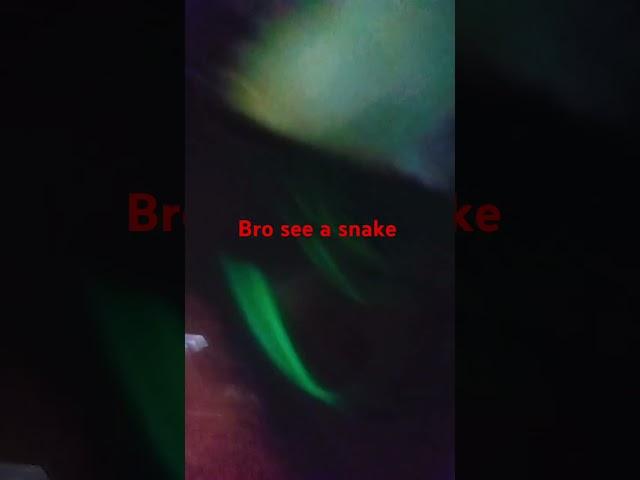 Bro see a snake #subscribe #horrorshorts