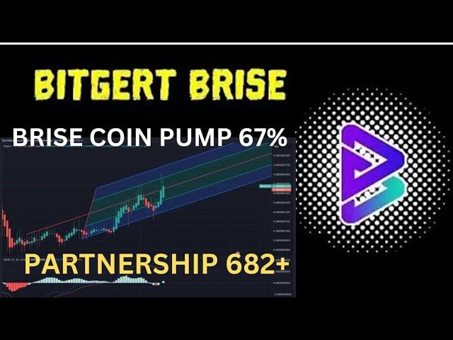 BRISE Coin Partnership 682 | Bitgert Supply Burn | BRISE $0.00004 | Binance Listing