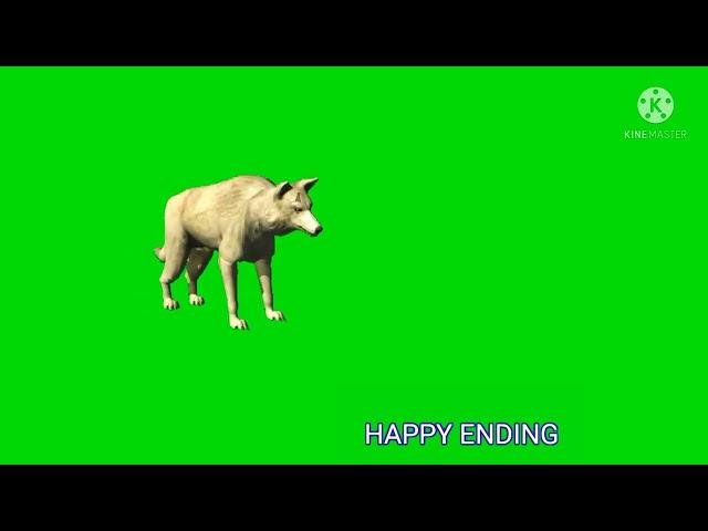 green screen effect jackal running #green screen effect#shorts#kishortarai