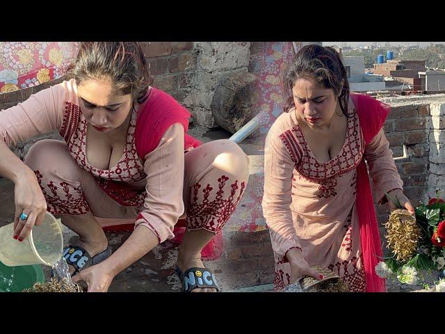 Washing My Beautiful Flowers _ Desi Aunty New Vlog _ Village Life In Pakistan  _ Hot Cleaning Vlog