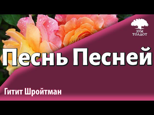 Урок для женщин. Песнь песней. Гитит Шройтман