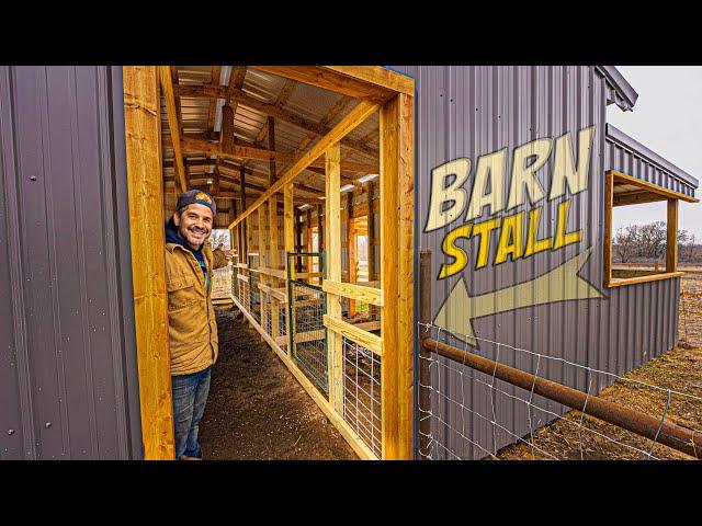 DIY Barn Stall Build - Livestock's NEW HOME! Ranch // Homestead // Farm