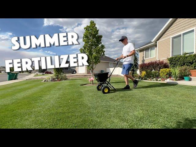 IDEAL SUMMER FERTILIZER For Northern Lawns