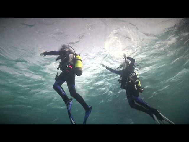Diver Rescue (Assisting a Panicked Diver)