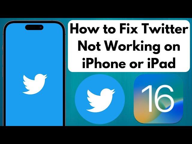 How to Fix Twitter App Not Working on iPhone or iPad iOS 16 Solved