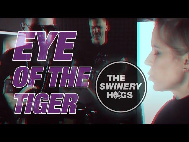 The Swinery Hogs  - Eye Of The Tiger (Surviver cover)