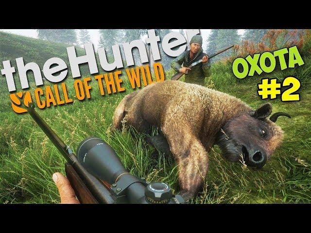 ЧТО ДЕЛАТЬ ЕСЛИ МЕДВЕДЬ НАПАДАЕТ - ОХОТА - The Hunter: Call of the Wild #2