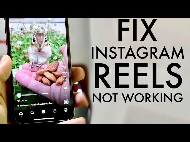How To FIX Instagram Reels Not Working