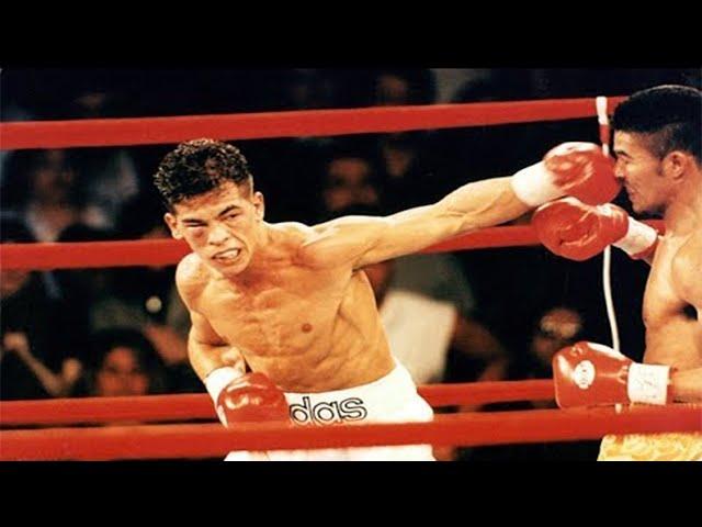 Arturo Gatti vs Wilson Rodriguez - Highlights (KNOCKOUT of the Year)