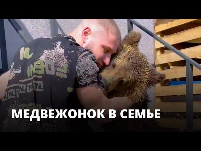 Медведица Маша живёт в саратовской семье