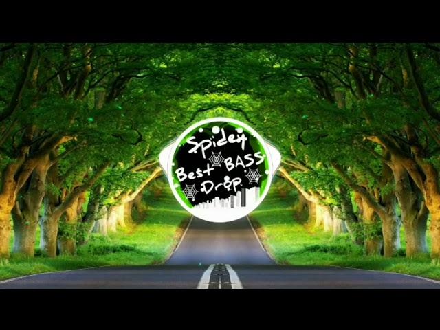 Kaivon - Touch (ft.Pauline Herr) (BASS Boosted) / Spidey Best BASS Drop