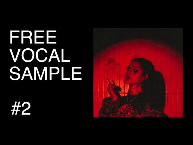 FREE VOCAL SAMPLE for Hip hop and RnB #2