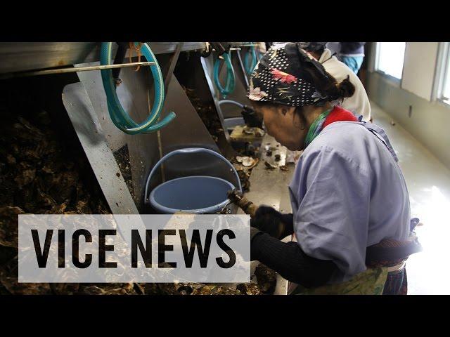 Exploiting Foreign Workers: Japan’s Labor Pains (Trailer)