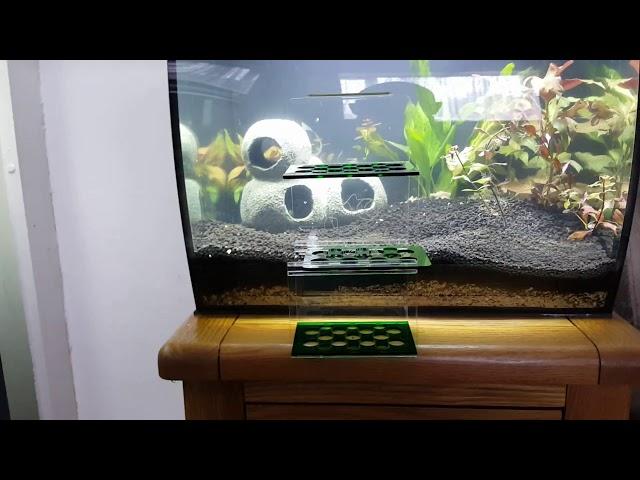 fluval flex 57l and media basket by intank