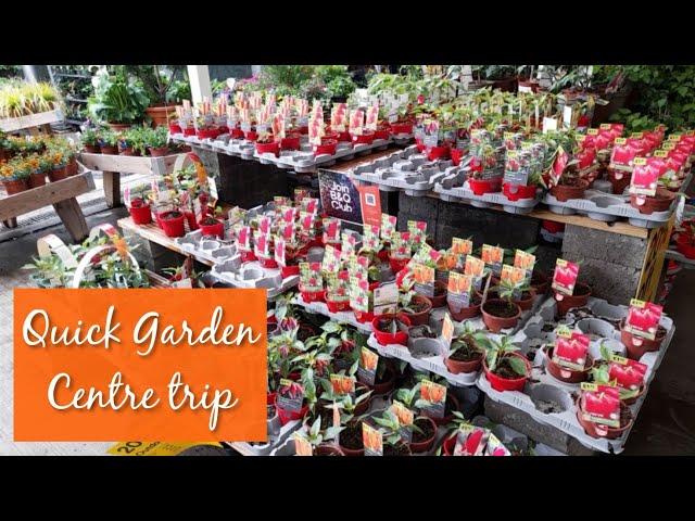 Quick trip to B&Q Garden Centre ~ Come along with me ~ May 2022 