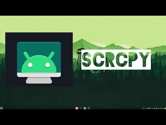 Scrcpy : Mirror Android Screen to Linux