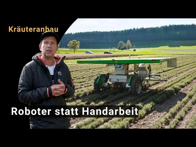 Roboter FarmDroid FD20 im Kräuteranbau: Erfahrungen, Herausforderungen, Wirtschaftlichkeit