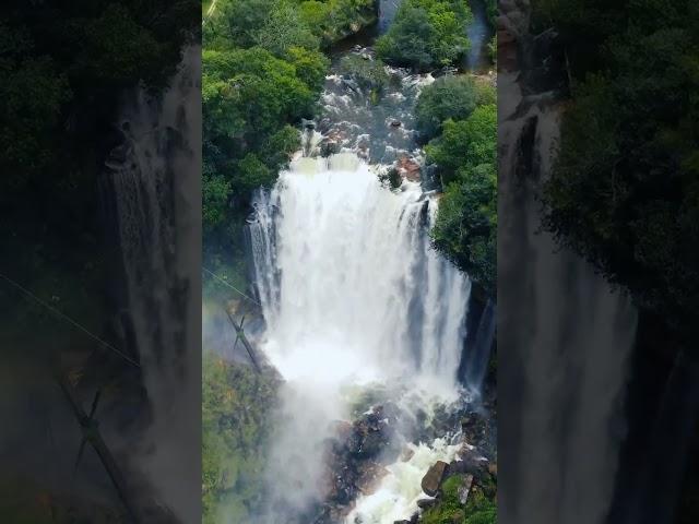 Echoes of the Wild: Journey to the Most Remote Forest Waterfalls ?