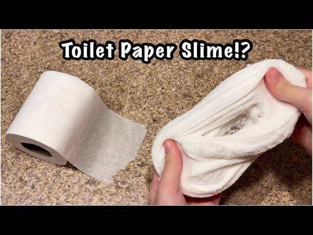 Toilet Paper Slime!?  Easy 2 Ingredient No Glue Paper Slime Recipe!!