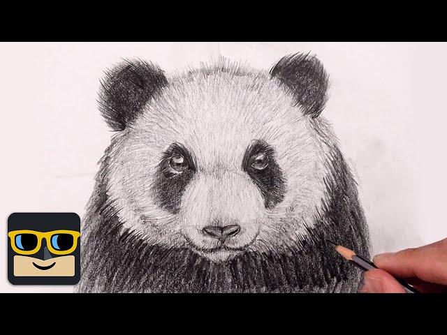 How To Draw a Panda | Sketch Tutorial