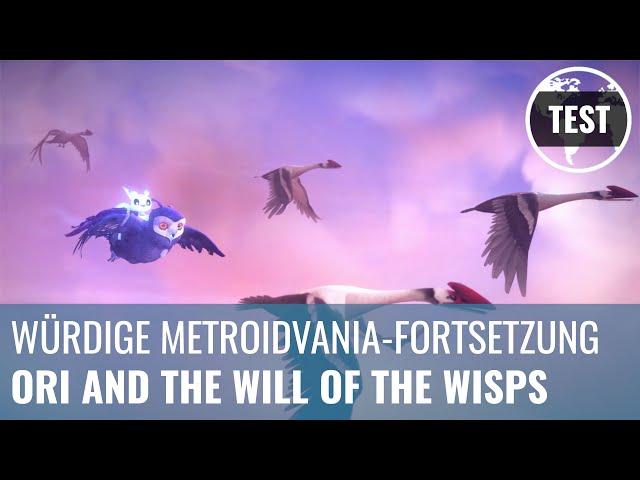 Ori and the Will of the Wisps im Test: Würdige Metroidvania-Fortsetzung (Review, German, 4K)