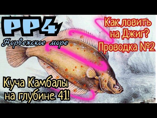 РР4. Как ловить на Джиг на Норвежском море!? ФАРМ Камбалы!