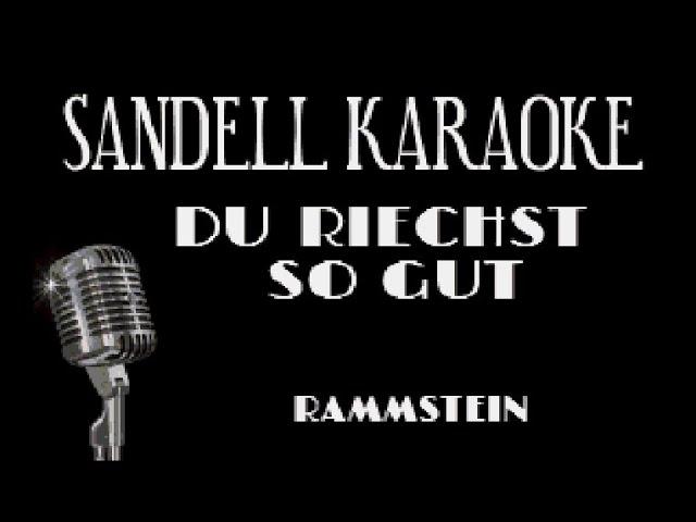 Rammstein - Du Riechst So Gut [Karaoke]