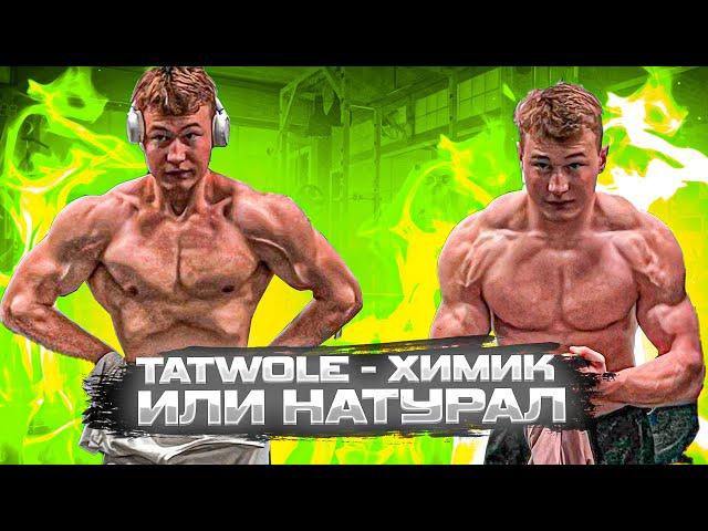 TATWOLE - ХИМИК ИЛИ НАТУРАЛ?! РАССЛЕДОВАНИЕ