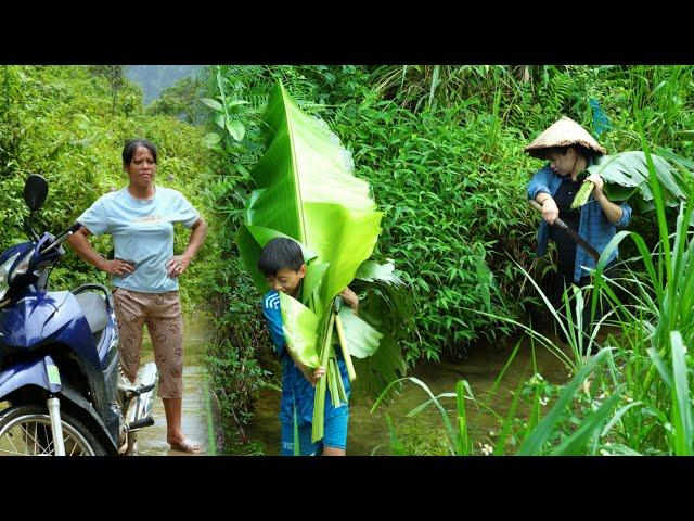 Ly handmade banana cake recipe, Tung mother found Ly place | Country Life Vlog, Farming