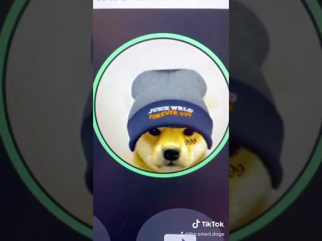 I’m the juice wrld doge and also follow smart.doge on tiktok he need to get to 3k