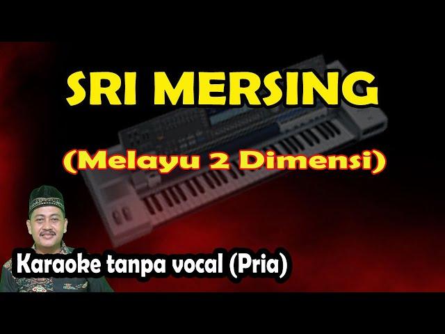 Sri mersing karaoke melayu 2 dimensi (keyboard)