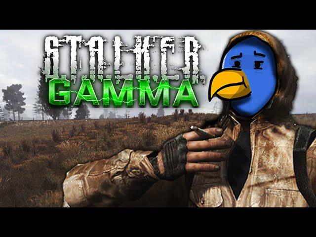 Why Stalker Gamma is SO AWESOME!?